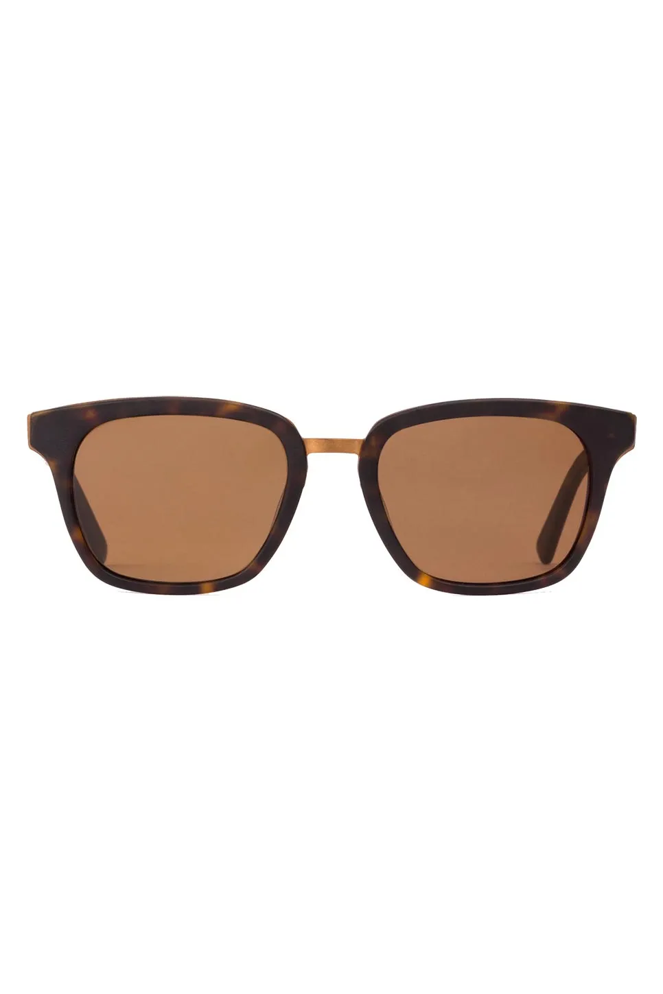 FICTION - MATTE DARK TORT/BROWN POLAR