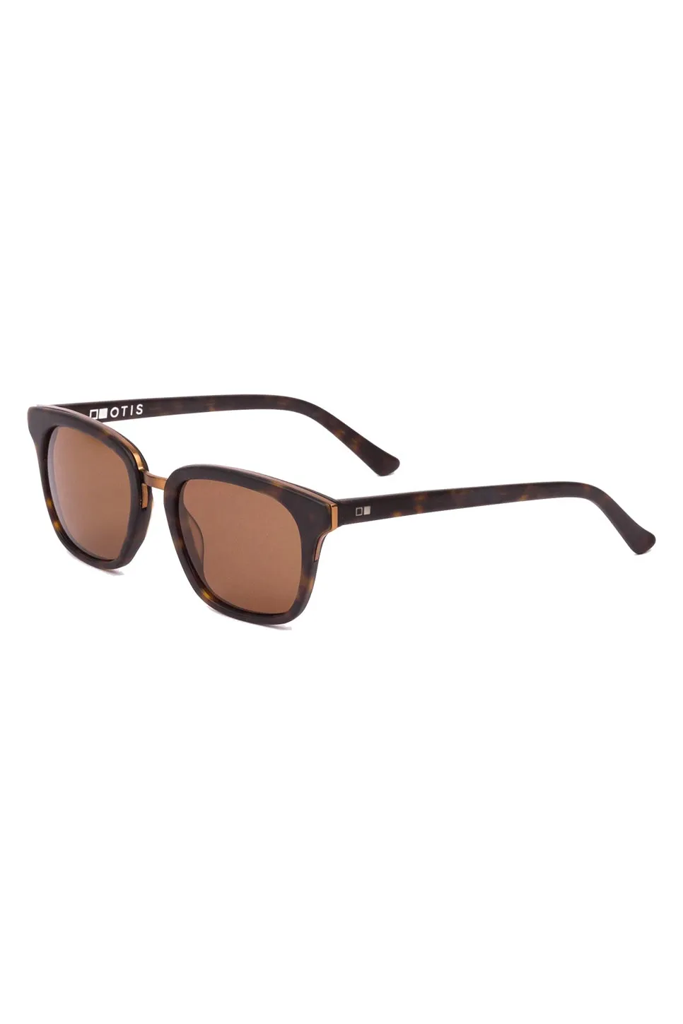 FICTION - MATTE DARK TORT/BROWN POLAR