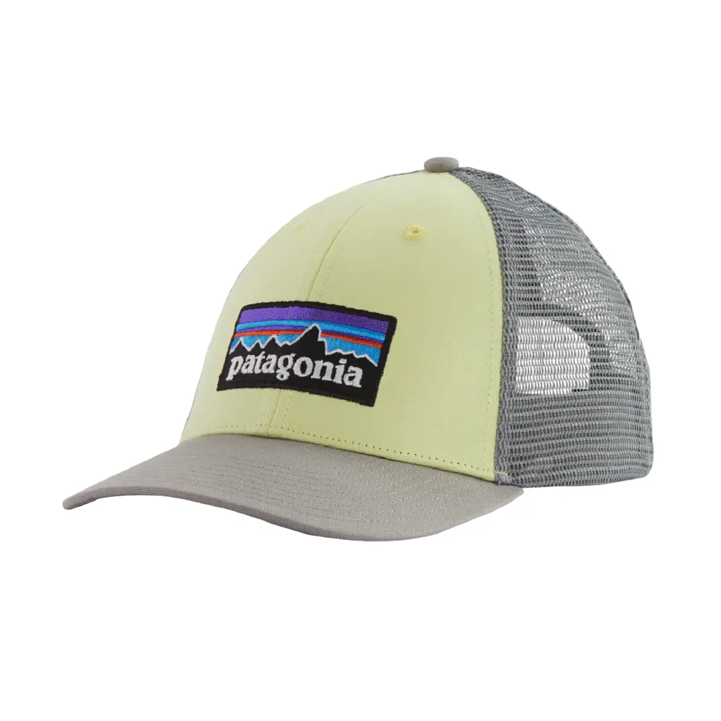 Patagonia Men's P-6 LoPro Trucker Hat - Past Season